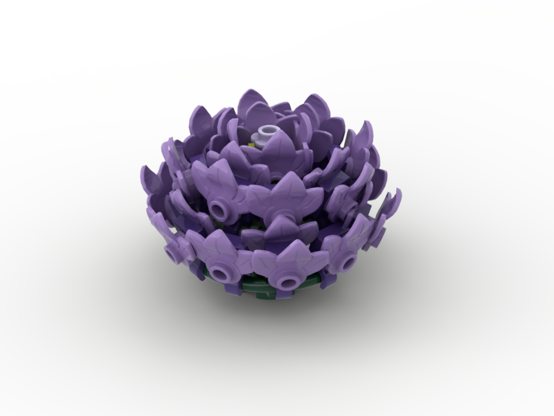 Aster Lavender