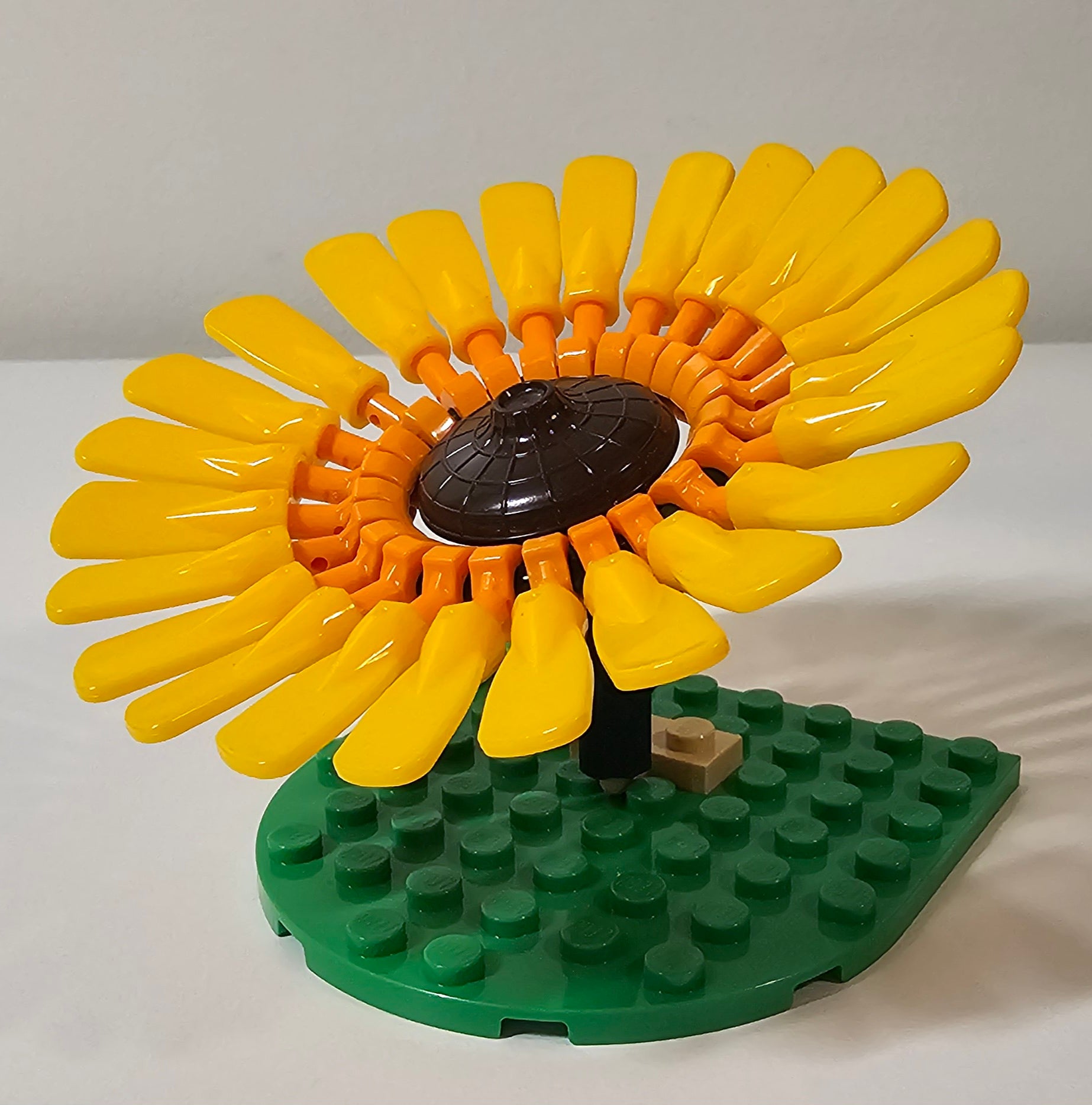 Gerbera Daisy Bright Light Orange