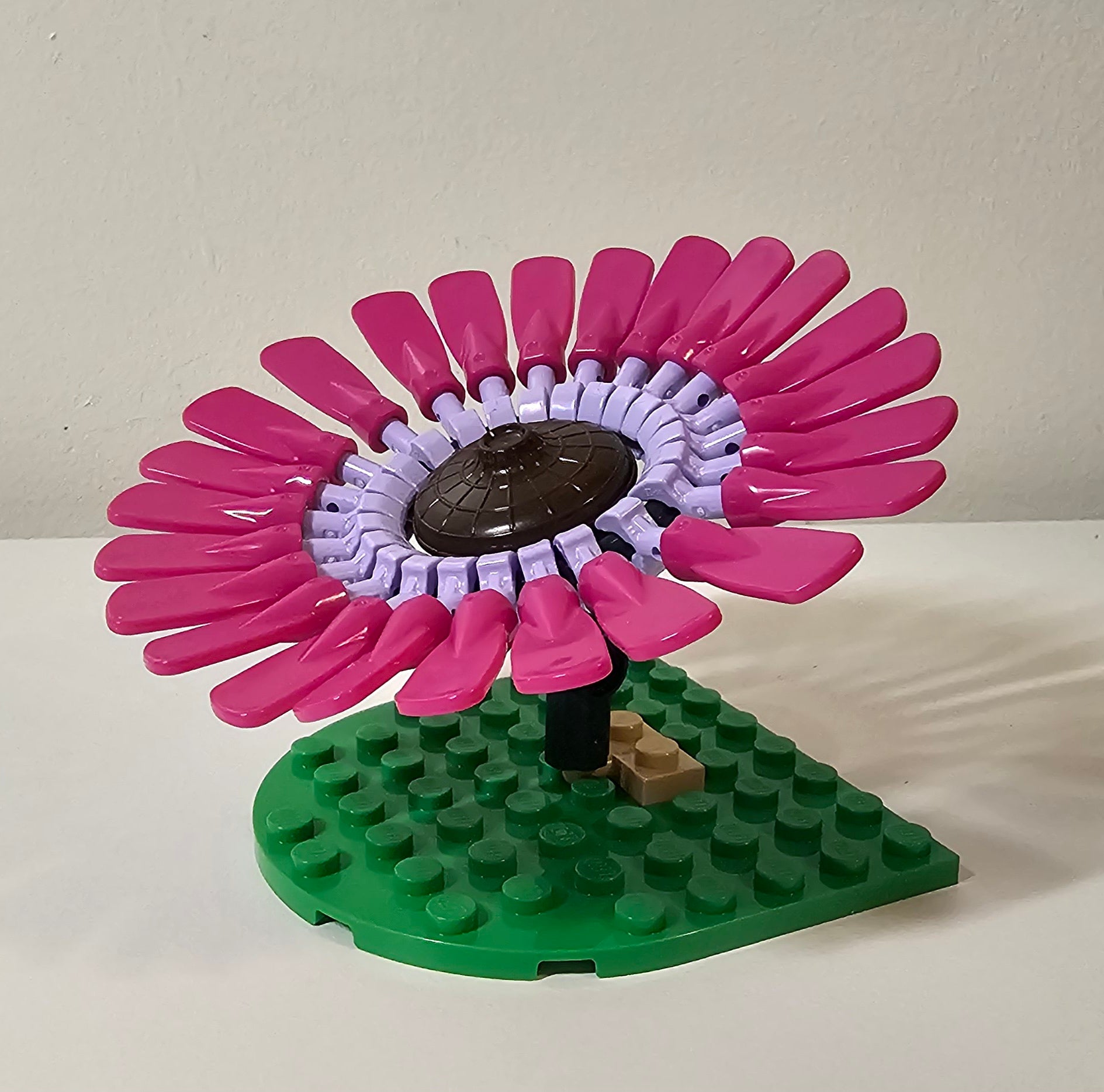 Gerbera Daisy Magenta