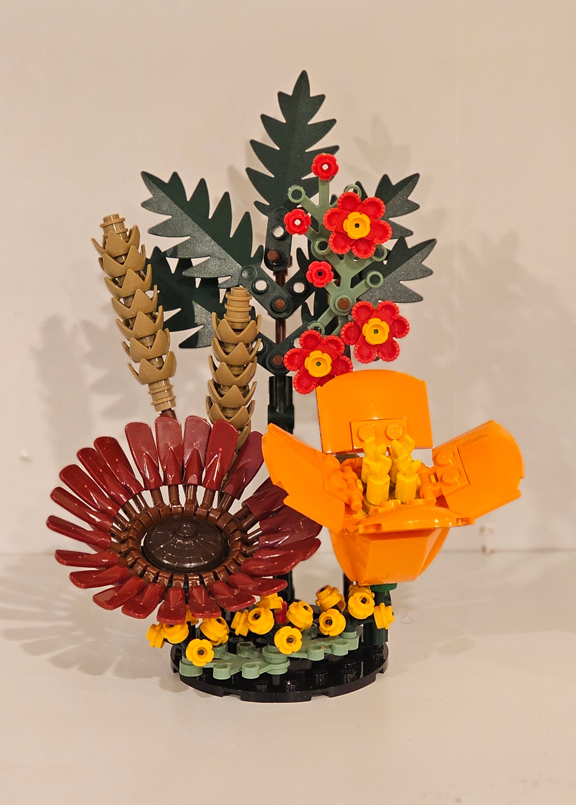 California Poppy Orange