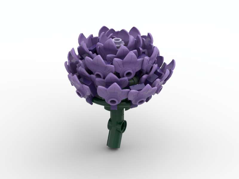 Aster Lavender