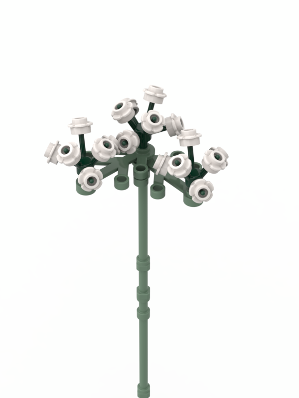 Baby's Breath #3 White