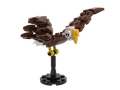 American Bald Eagle
