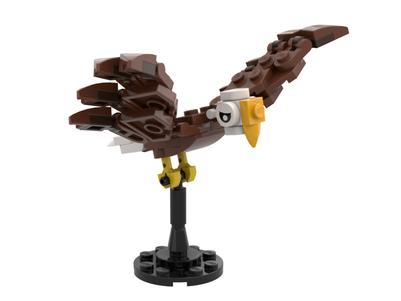 American Bald Eagle