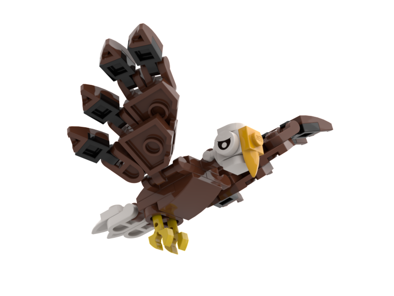 American Bald Eagle