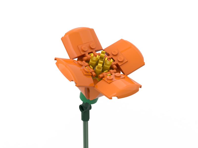 California Poppy Orange
