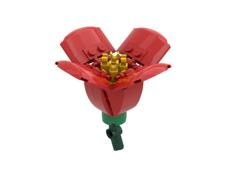 California Poppy Red