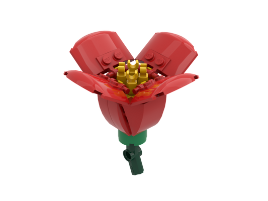 California Poppy Red