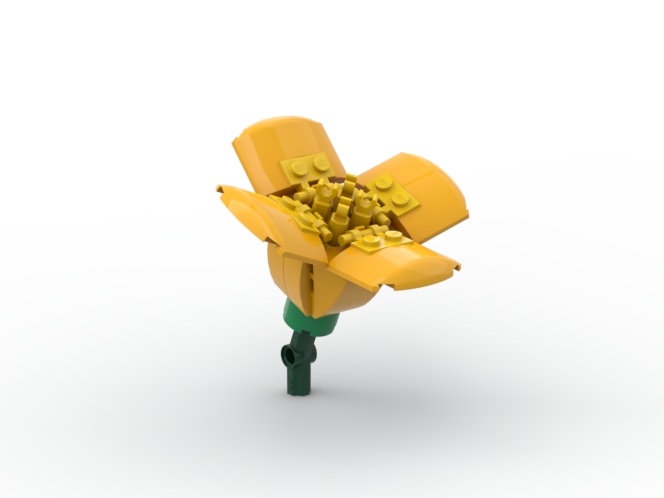 California Poppy Bright Light Orange