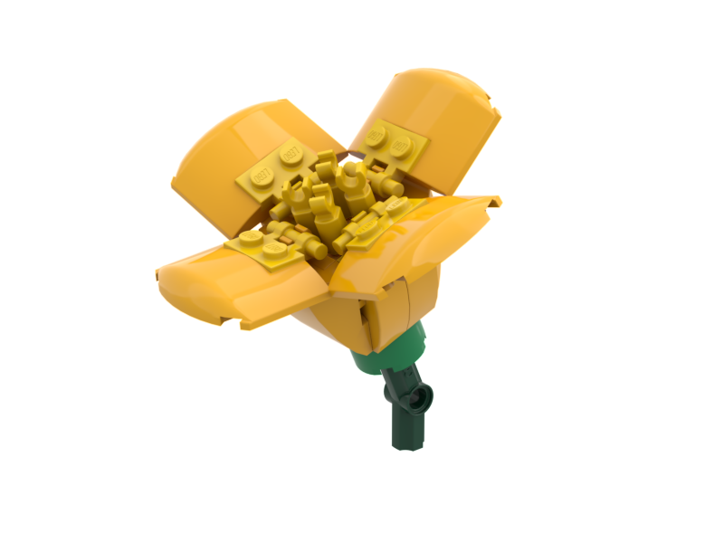 California Poppy Bright Light Orange