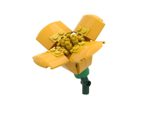 California Poppy Bright Light Orange