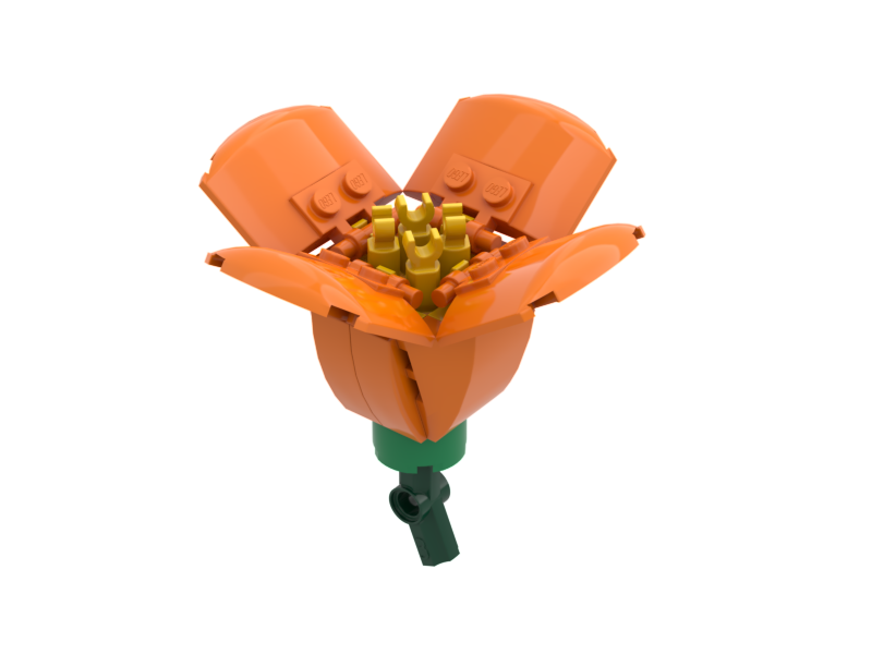 California Poppy Orange