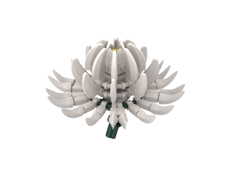 Chrysanthemum White