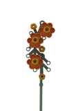 Epaulette Flower Orange