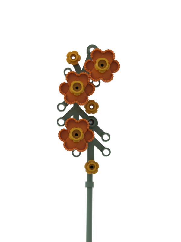 Epaulette Flower Orange