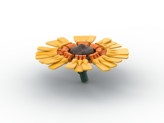 Gerbera Daisy Bright Light Orange