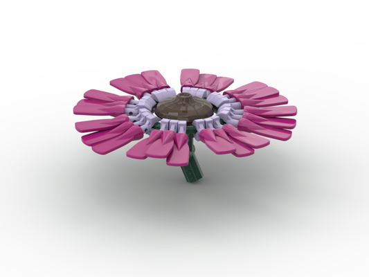 Gerbera Daisy Magenta