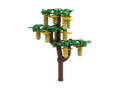 Golden Chain Tree