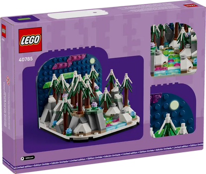 Northern Lights Diorama Set #40785