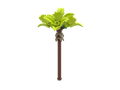 Palm Tree - Lime