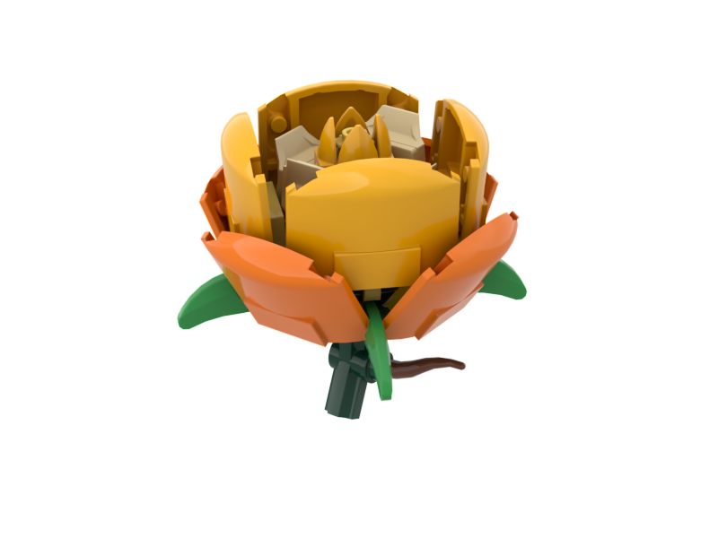 Rose #8 Sunrise