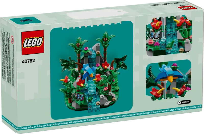 Tropical Rainforest  #40782