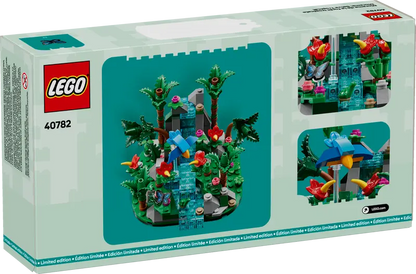 Tropical Rainforest  #40782