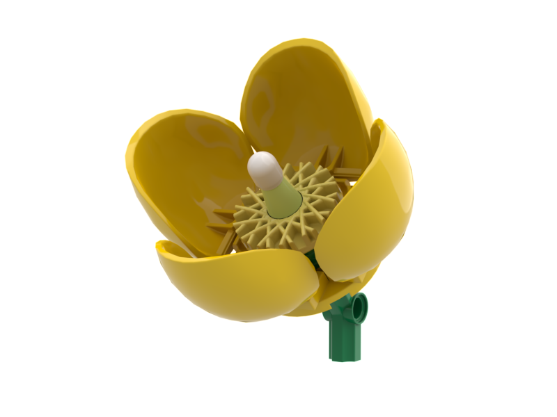 Wild Poppy Yellow