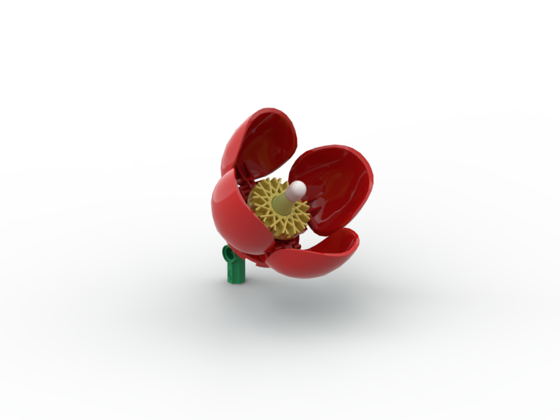 Wild Poppy Red