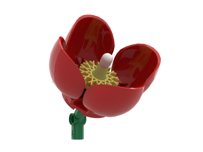 Wild Poppy Red