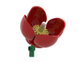Wild Poppy Red