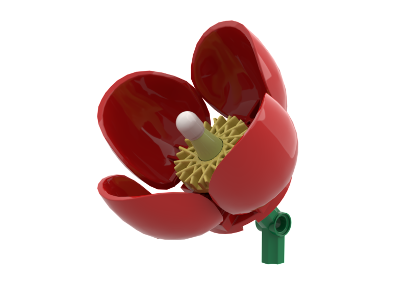 Wild Poppy Red