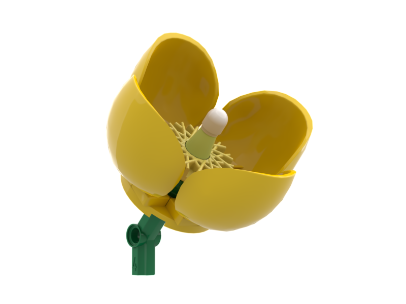 Wild Poppy Yellow