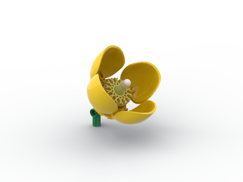 Wild Poppy Yellow
